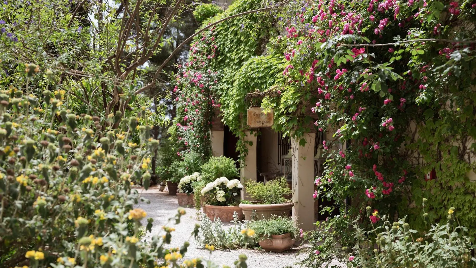 Boutique Hotel Poggio Ai Santi - Adults Only Farm stay San Vincenzo