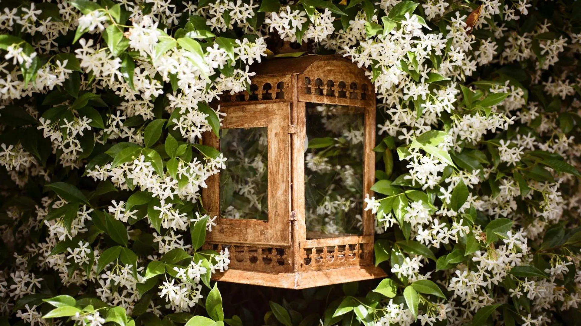 Bauernhof Boutique Hotel Poggio Ai Santi - Adults Only