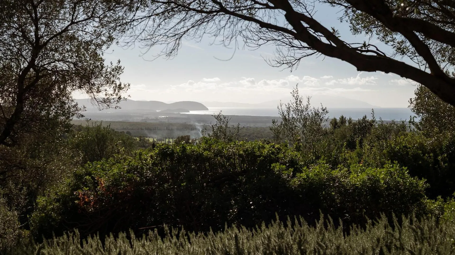ファームステイ Boutique Hotel Poggio Ai Santi - Adults Only サン·ヴィンチェンツォ