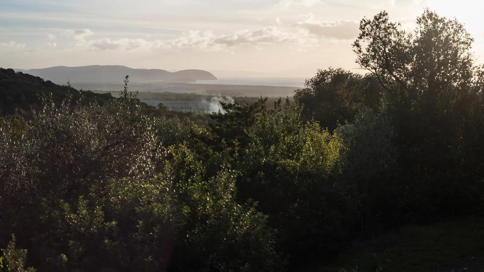Boutique Hotel Poggio Ai Santi - Adults Only サン·ヴィンチェンツォ